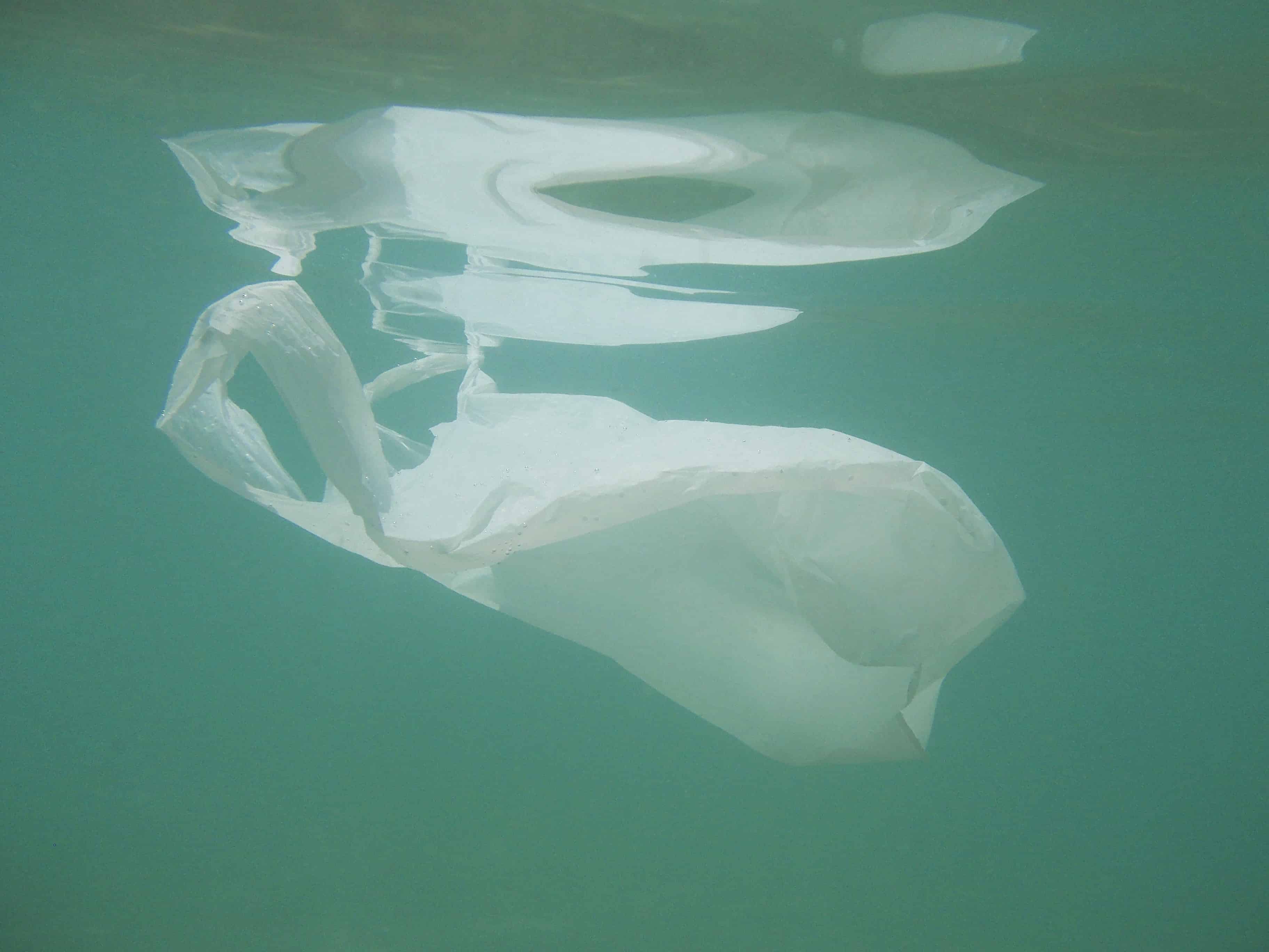 Plastic bag floating into the sea. Polluted enviromental. Recycle