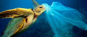 Ocean Plastics