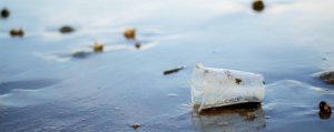 Plastic Pollution