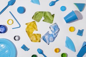 Paper recycling ecosystem